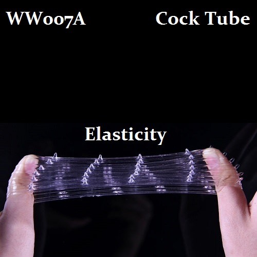 WW007A Elasticity WW007A Elasticity
