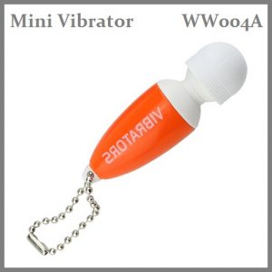 WW004A Mini Vibrator